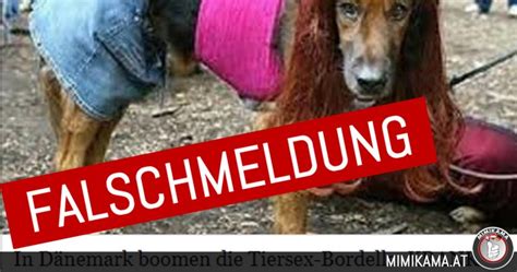 sex mit einem pferd|In Dänemark boomen die Tiersex